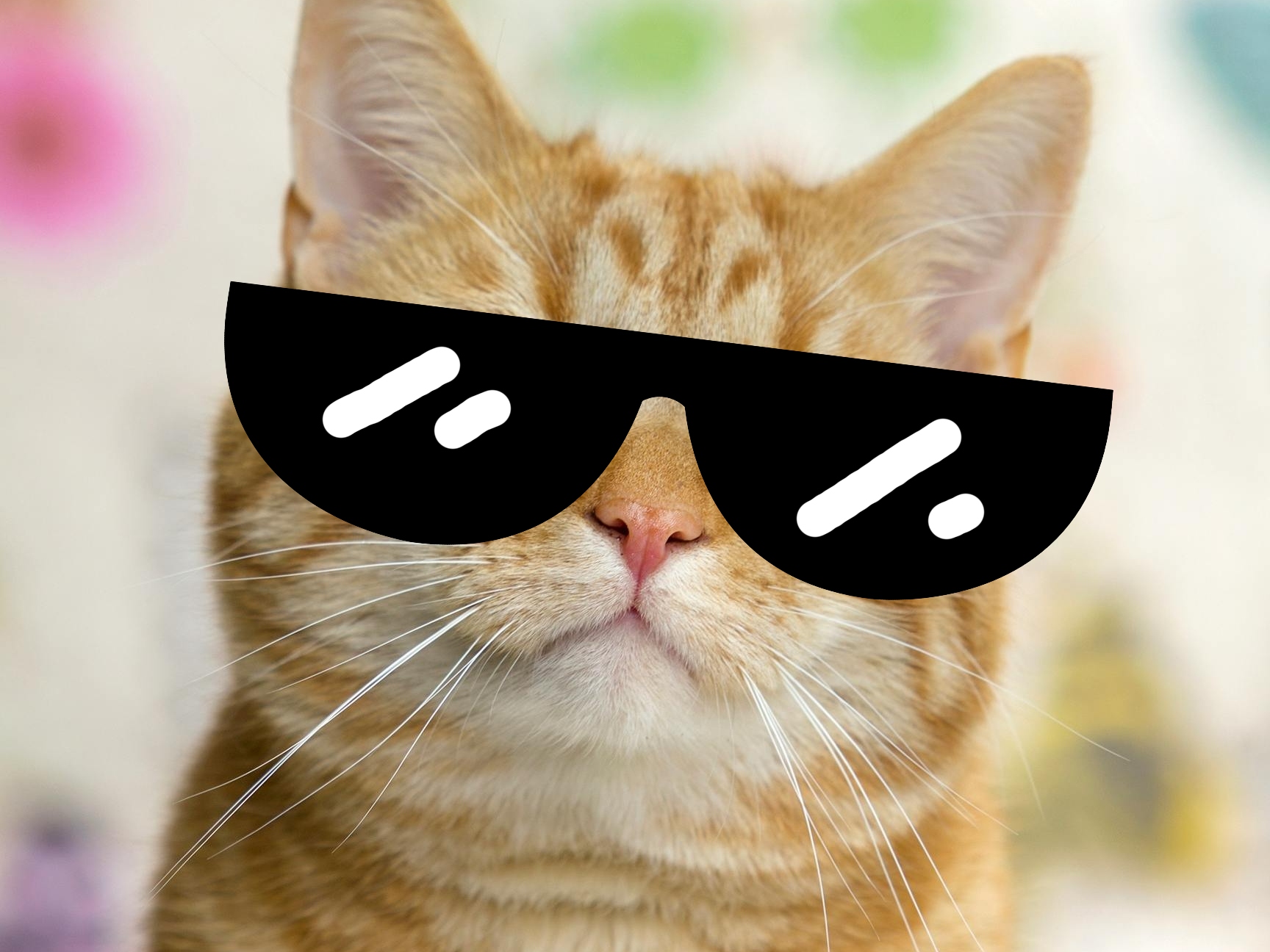 Cat with sunglasses on for top games about cats